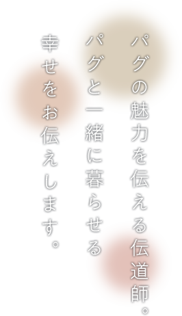 パグを魅力を伝える伝道師。パグと一緒に暮らせる幸せをお伝えします。